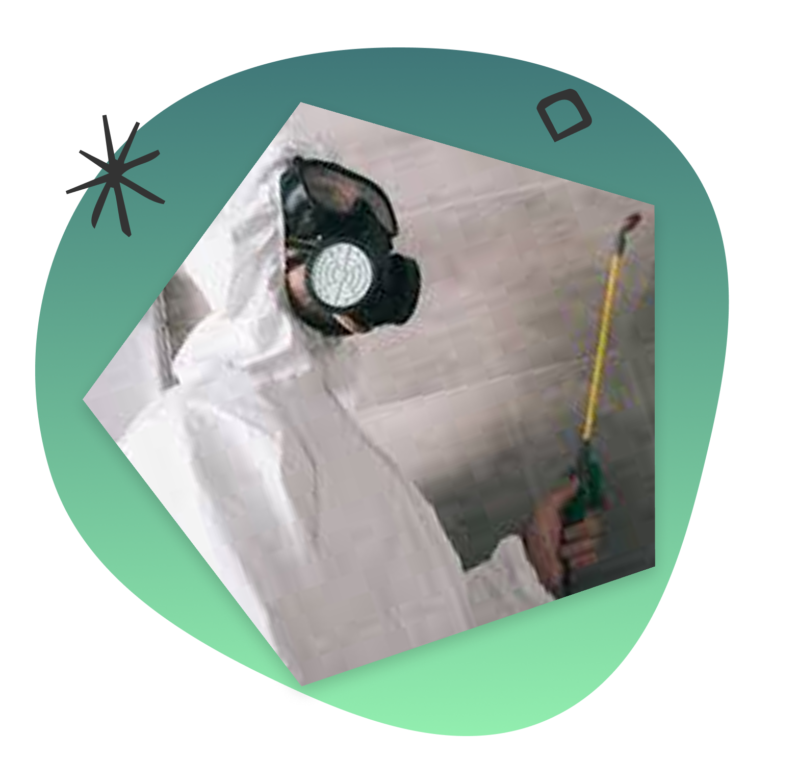 Team of pest control professionals