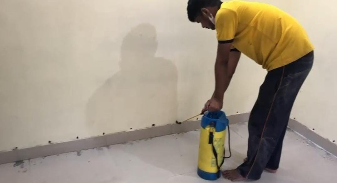 Pest control work example 4