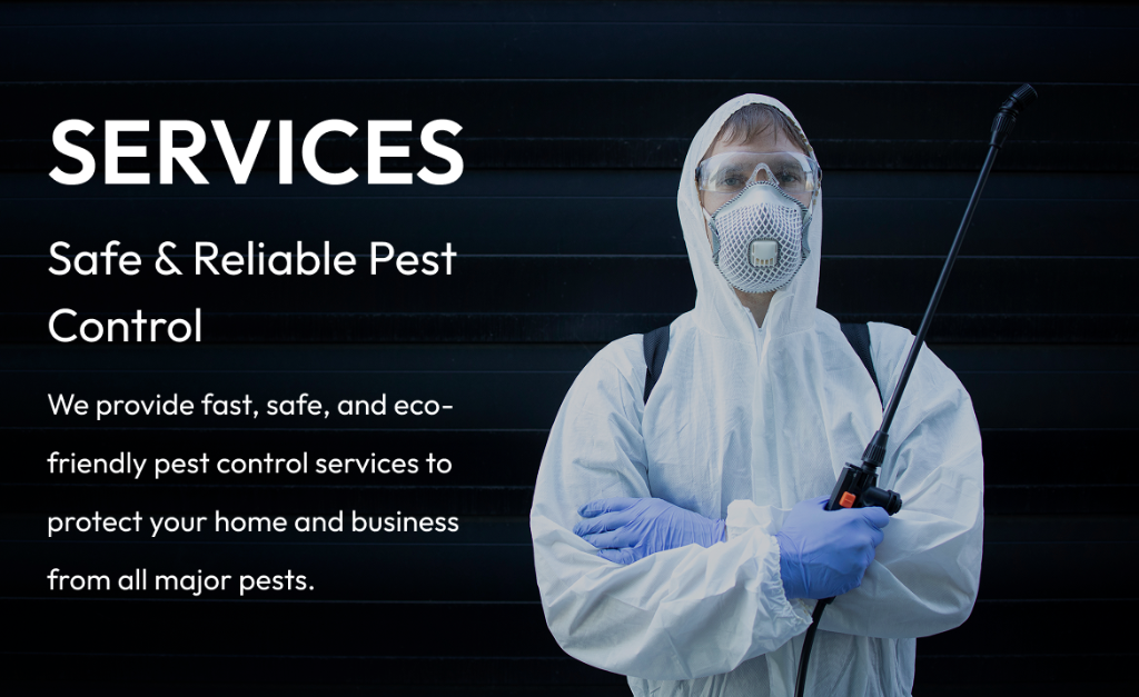 Our Services