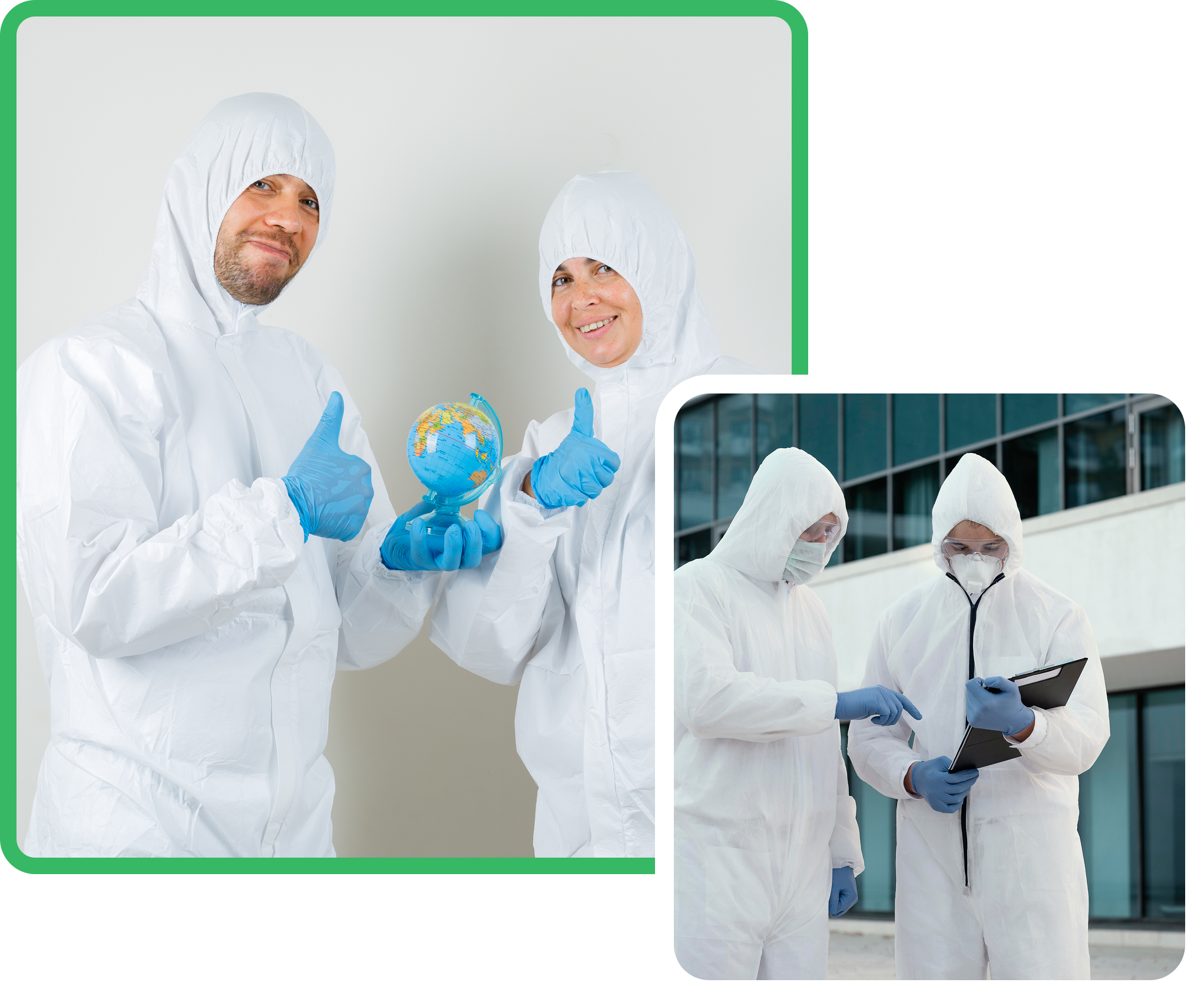 Pest control expert