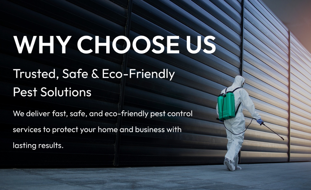 Why Choose Us for Pest Control